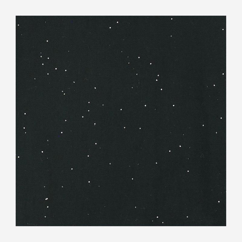 Faliero Sarti Wool Scarf — Black Scarfs
