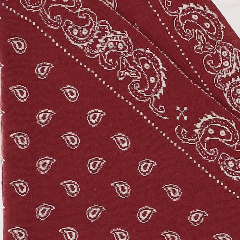 Guest Residence Cotton-Silk Paisley Scarf — Red Scarfs