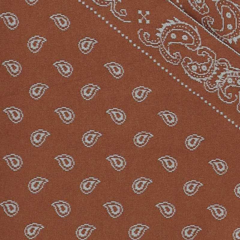 Guest Residence Cotton-Silk Scarf — Brown Scarfs