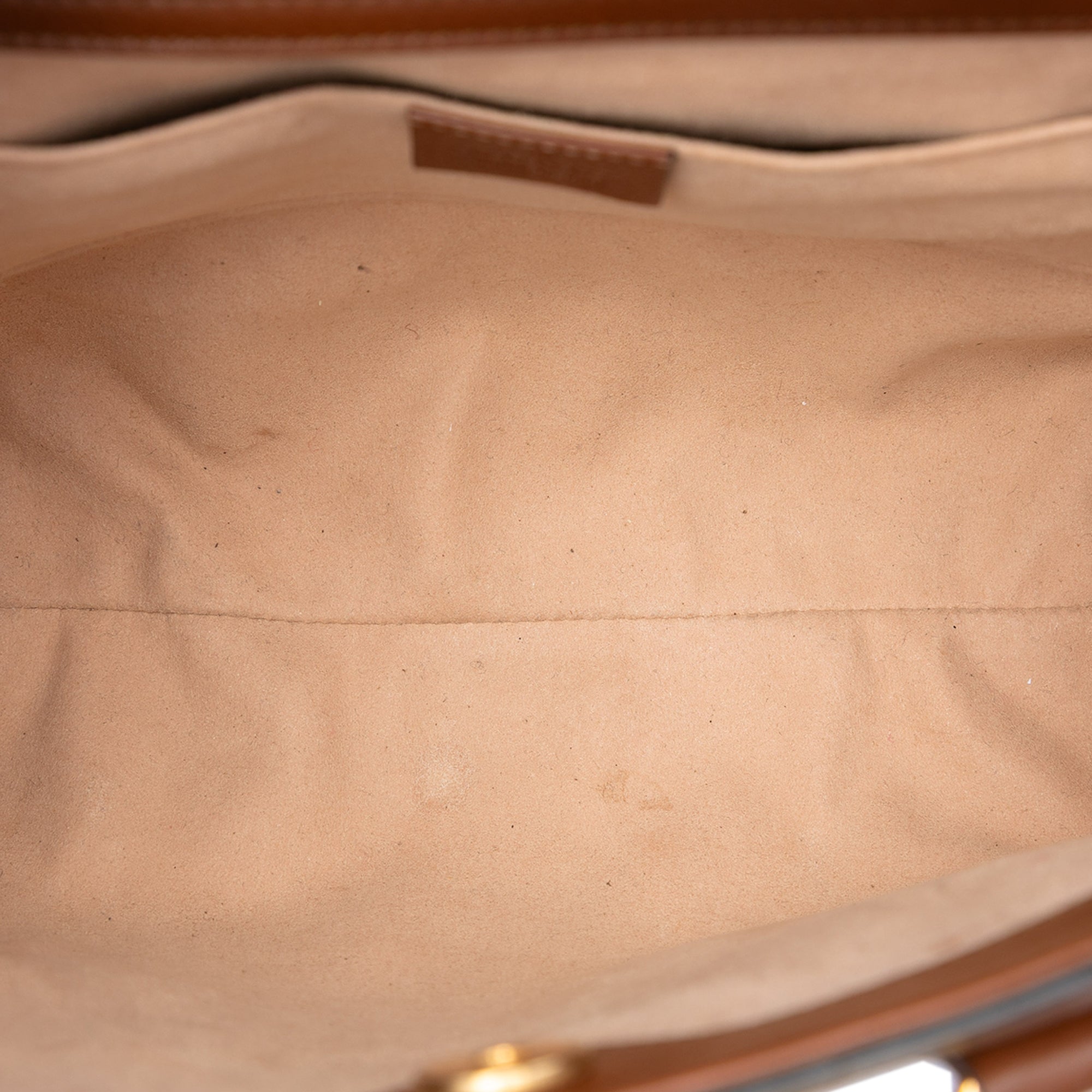 Medium Calfskin Bamboo Diana Satchel - Image 4
