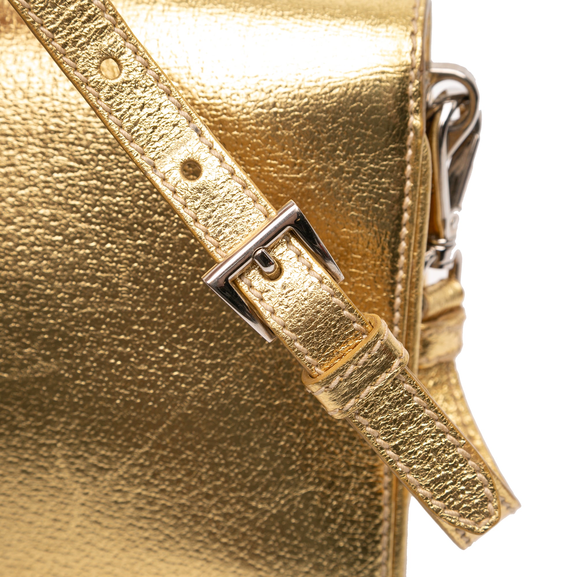 Metallic Cinghiale Crossbody - Image 10