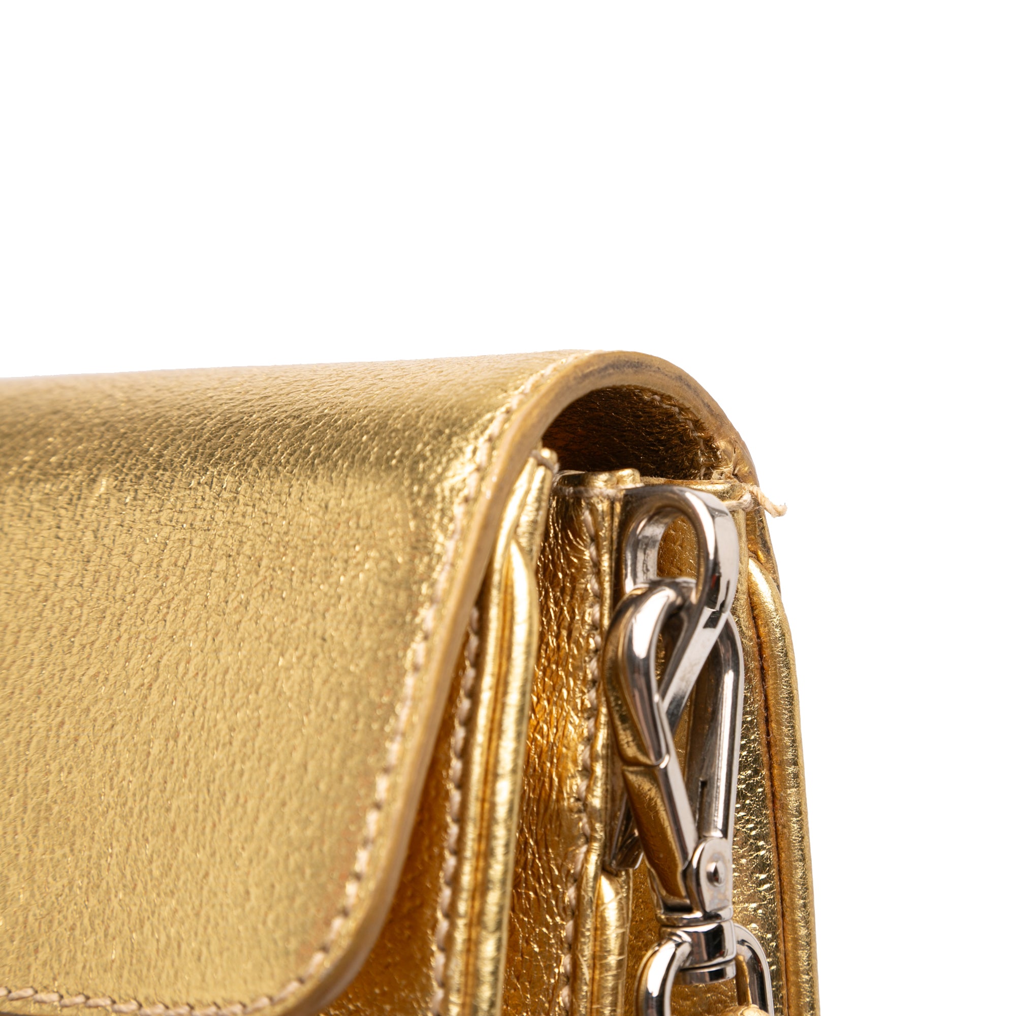 Metallic Cinghiale Crossbody - Image 9