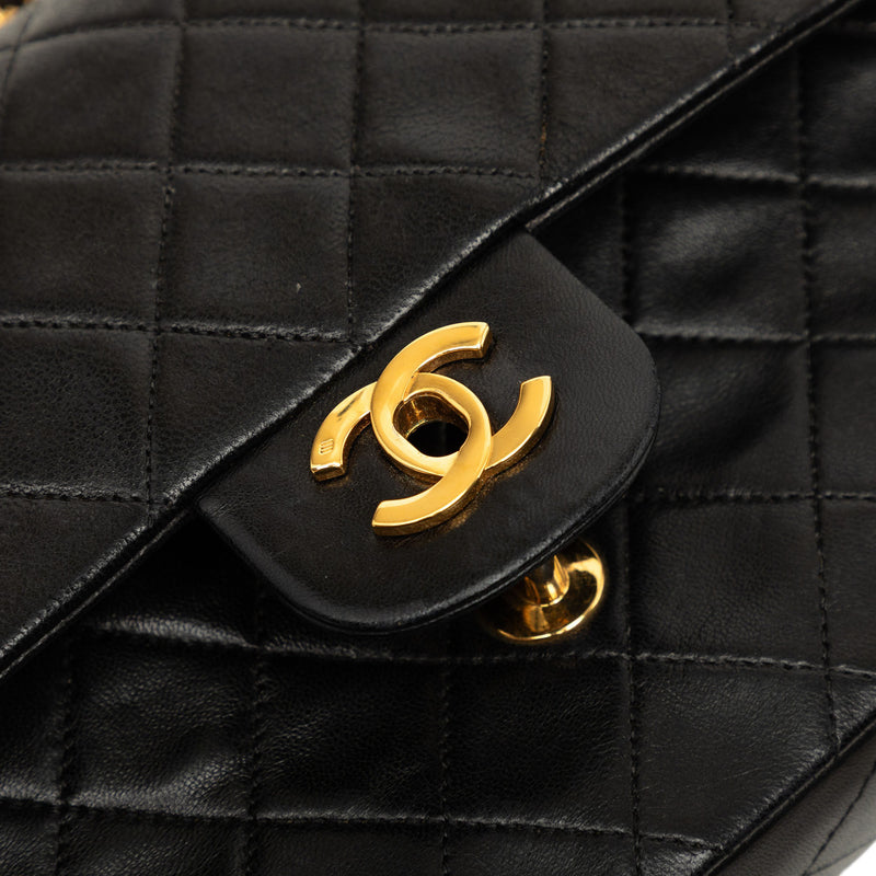 Medium Classic Lambskin Double Flap - Image 6