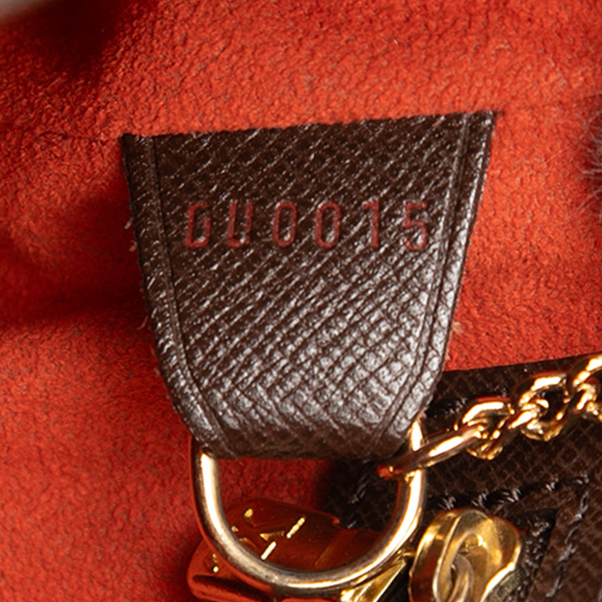 Damier Ebene Marais - Image 6