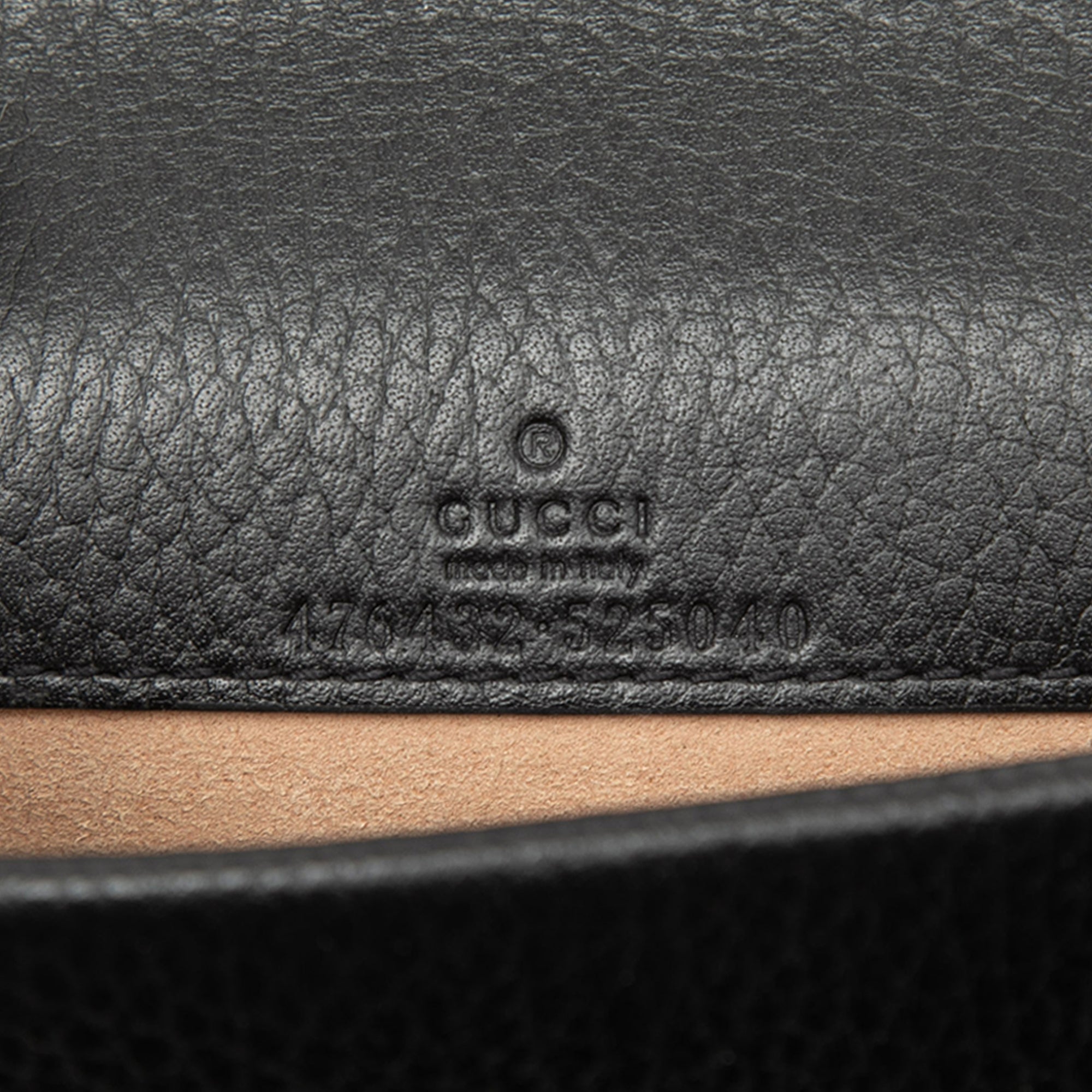 Mini Calfskin Dionysus Crossbody - Image 5