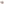         GG Supreme Blooms Cosmetic Pouch - Image 2