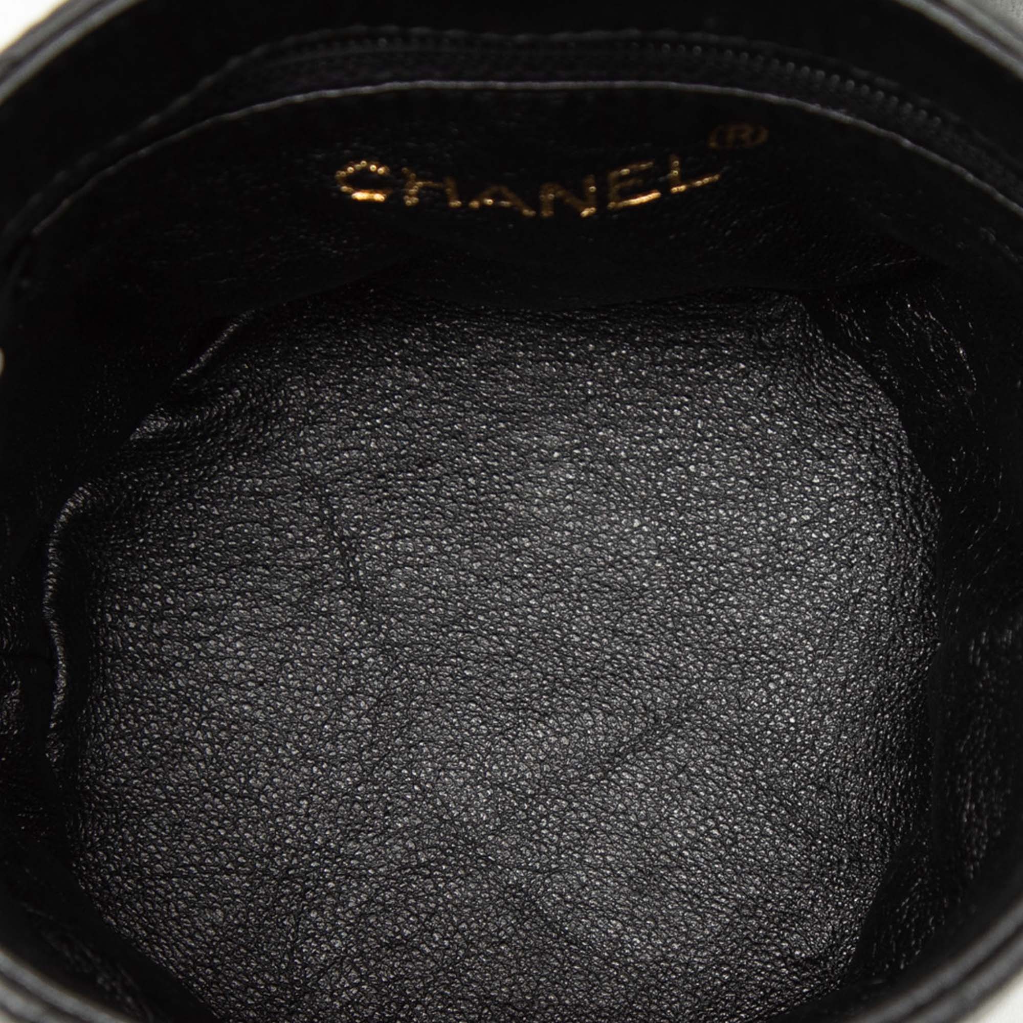 Mini Quilted Lambskin Canteen Tassel Vanity Case - Image 4