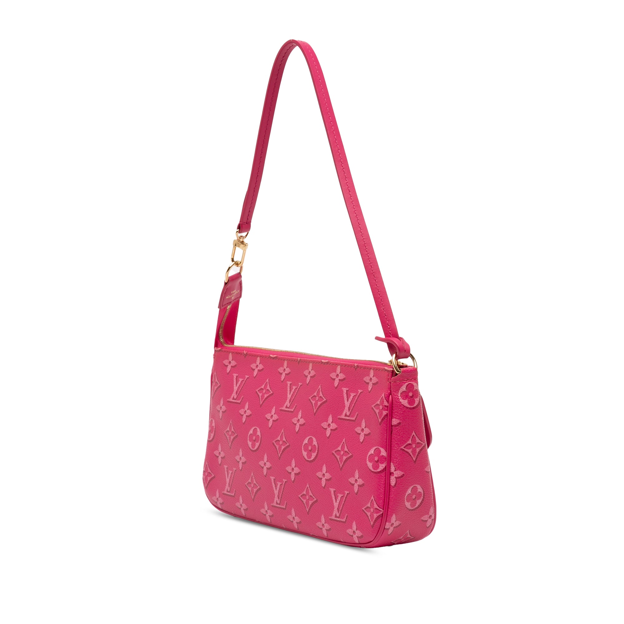 Fall For You Monogram Maxi Multi Pochette Accessoires - Image 2