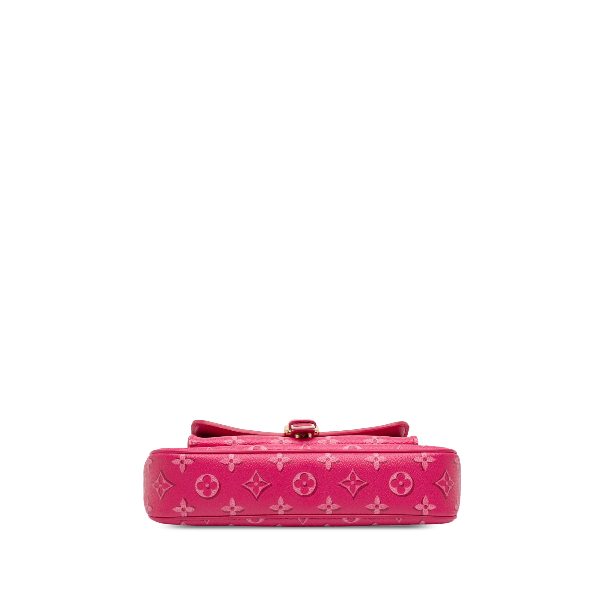 Fall For You Monogram Maxi Multi Pochette Accessoires - Image 3