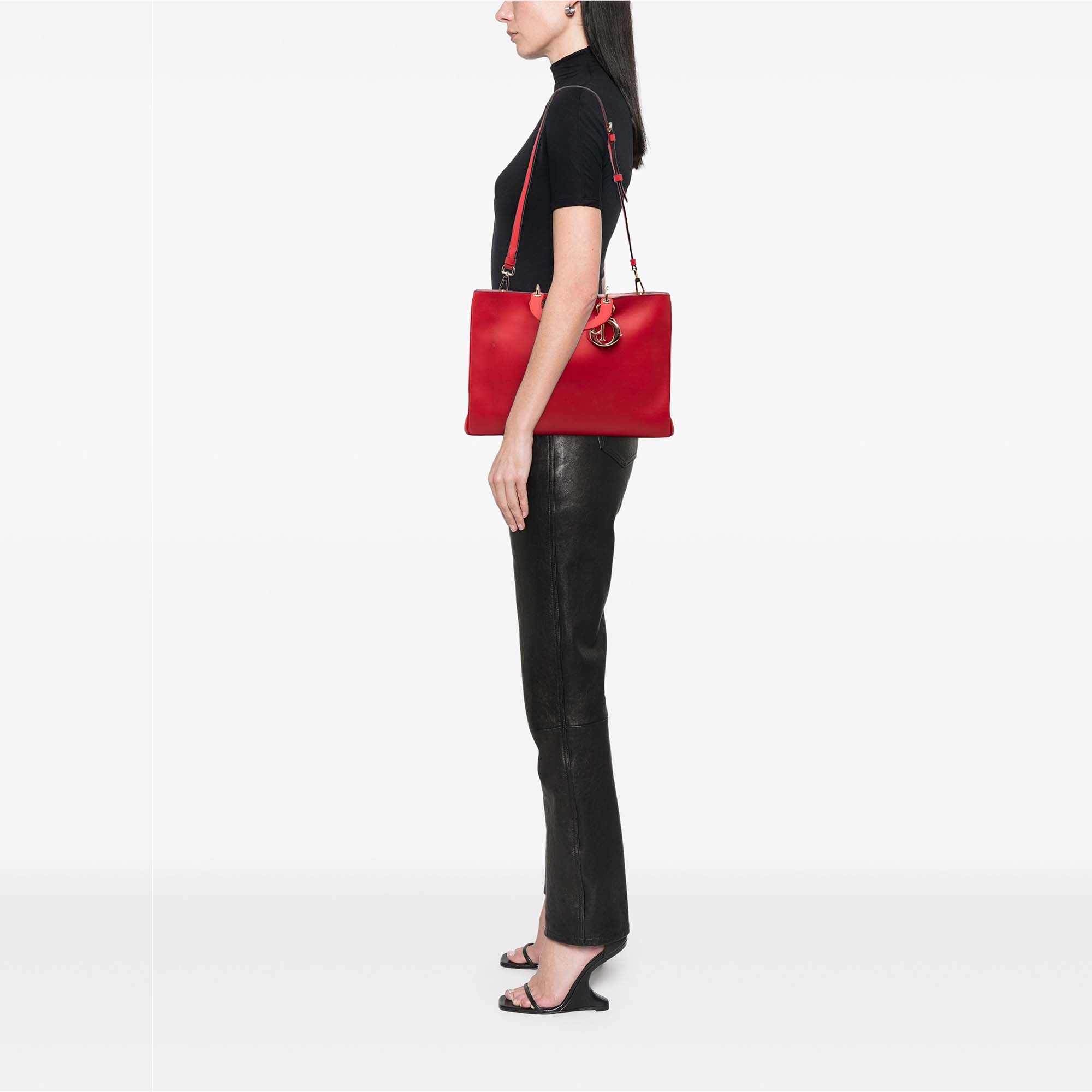 Large Smooth Calfskin Diorissimo Satchel - Image 7