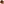         Monogram Amazone - Image 4