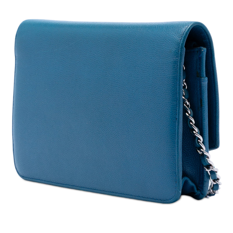 CC Caviar Sevruga Wallet On Chain - Image 2