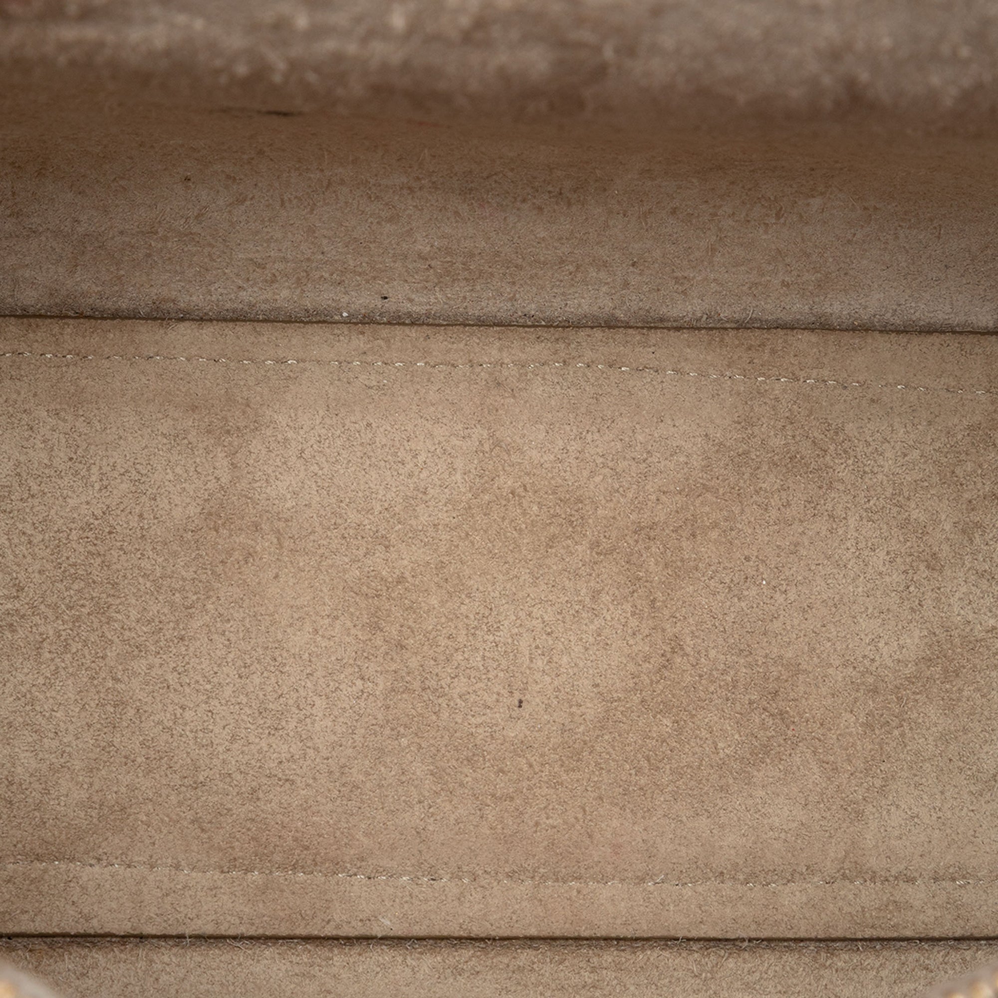 Nano Grained Calfskin Belt Bag - Image 4