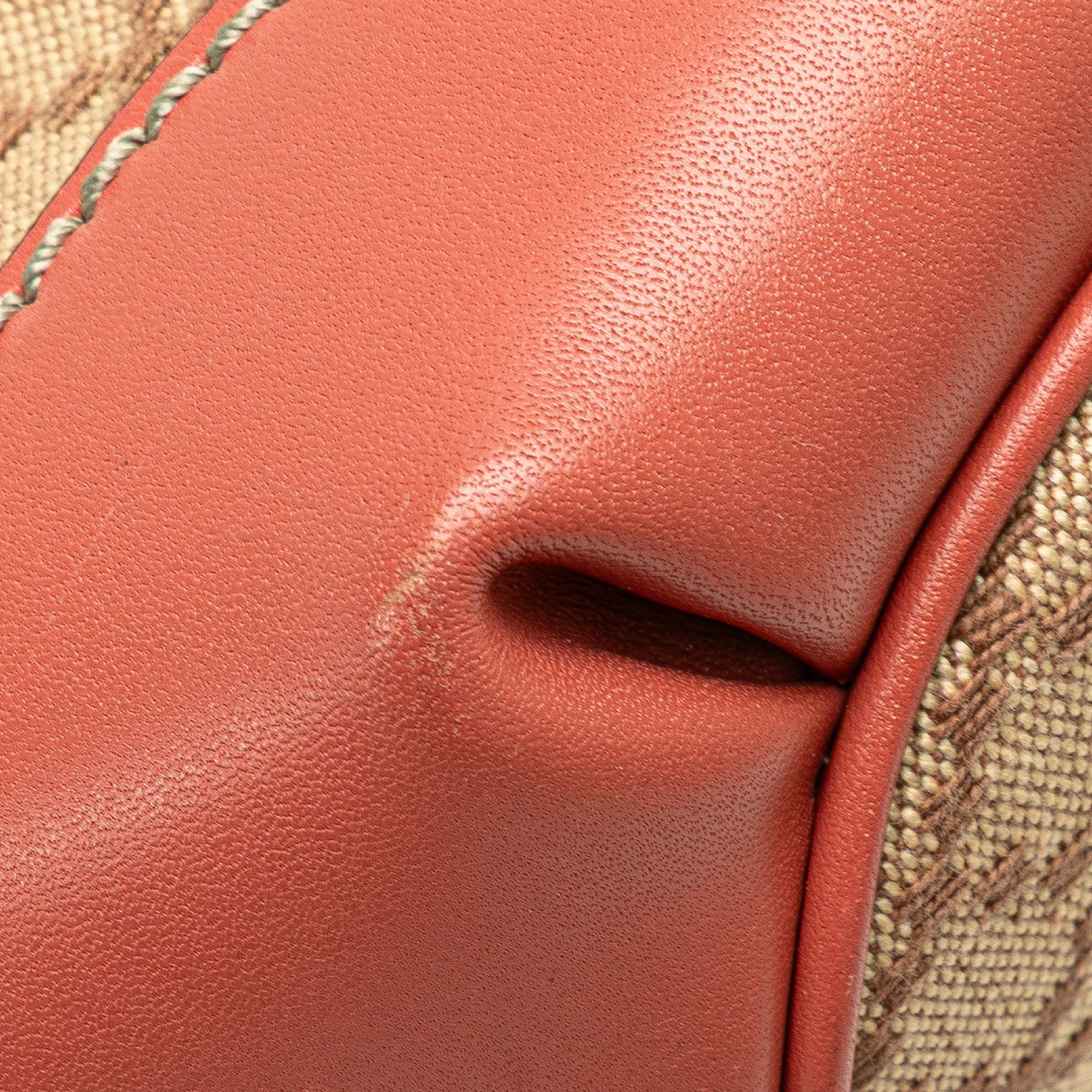 Diamante Canvas Sukey Satchel - Image 11