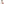        Monogram Vernis Pegase 45 - Image 6