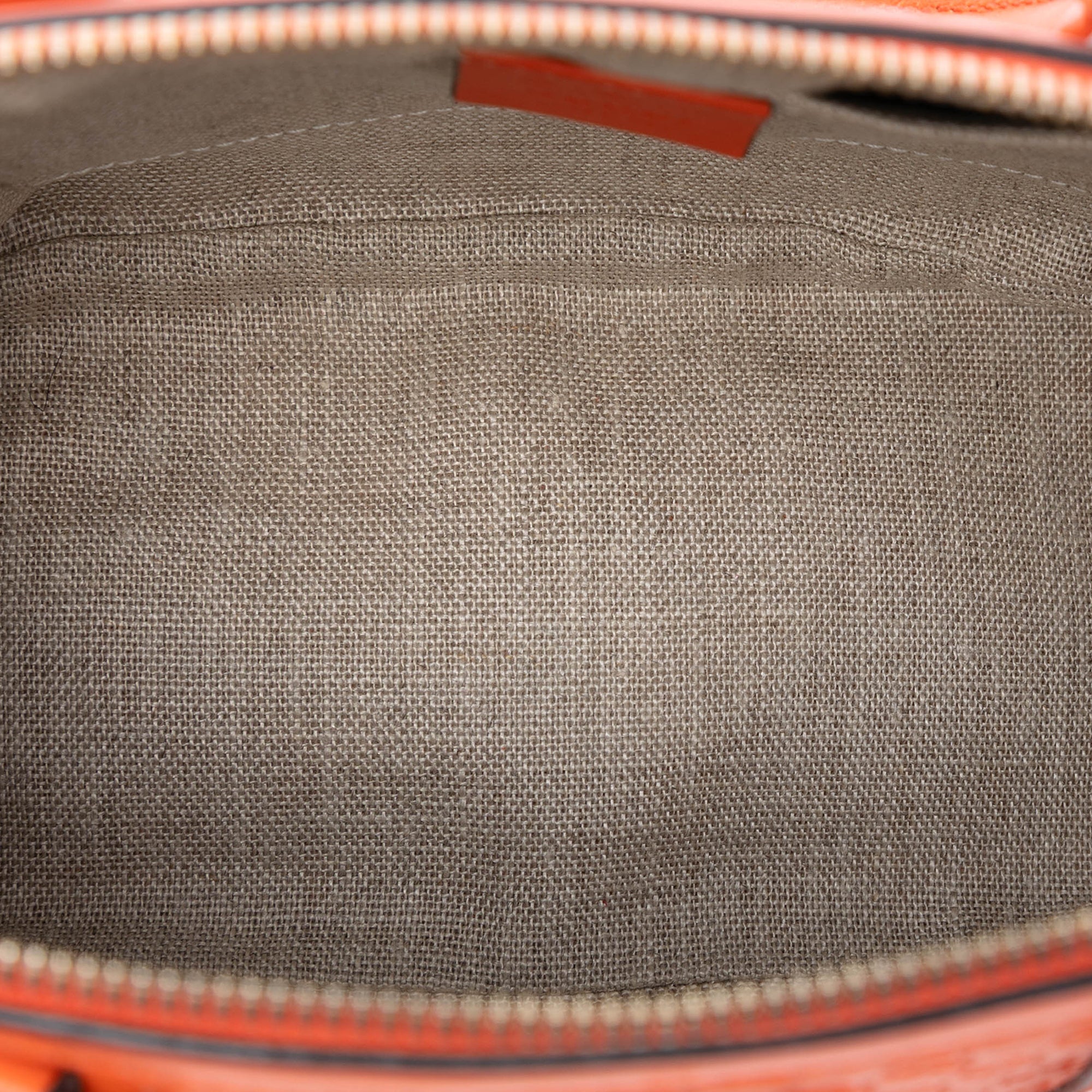 Mini Microguccissima Dome Satchel - Image 4