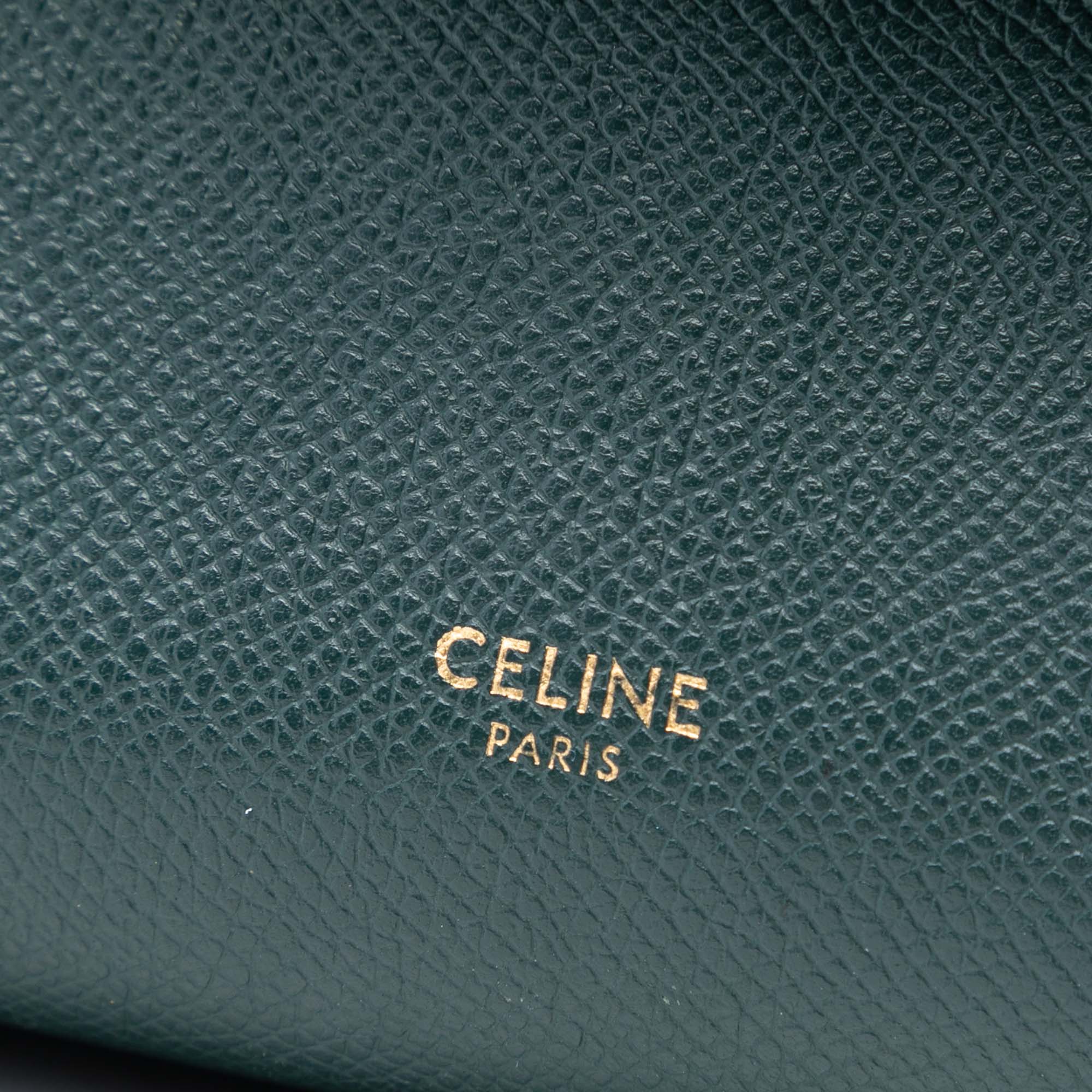 Pico Grained Calfskin Belt Bag - Image 5