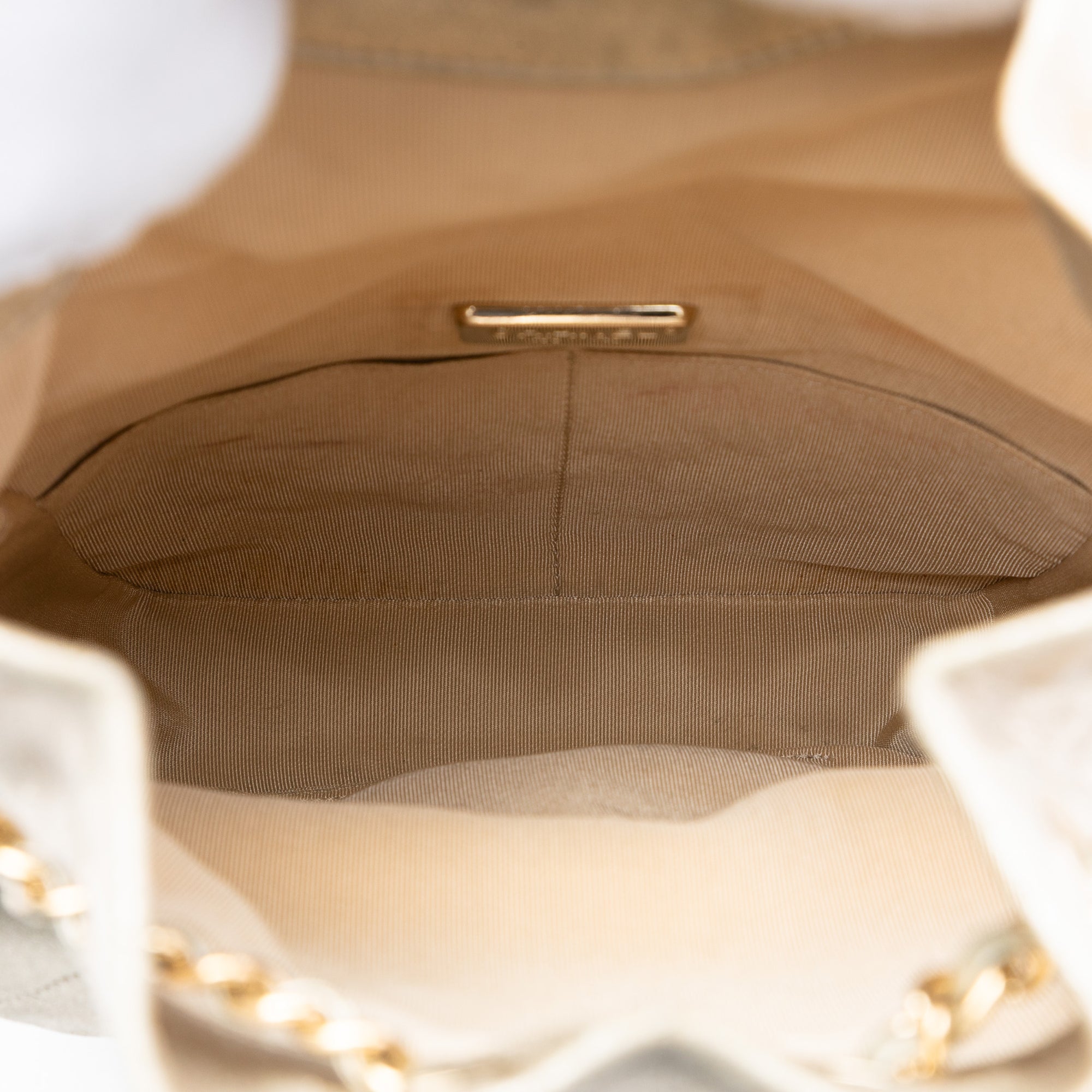 Small Metallic Lambskin In Seoul Backpack - Image 4