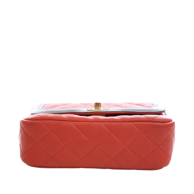Mini Quilted Lambskin Two Tone Day Flap - Image 7