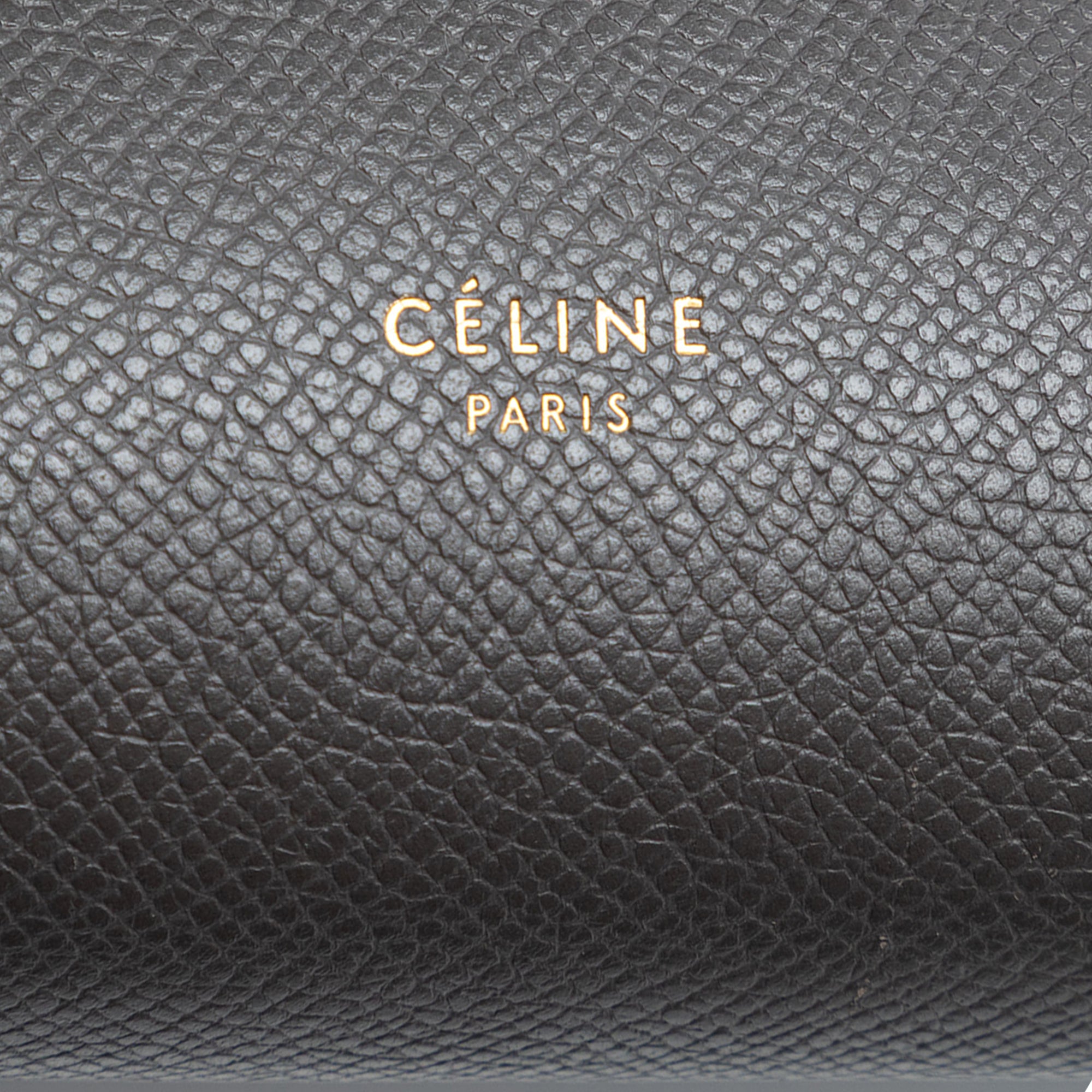 Micro Grained Calfskin Belt Bag - Image 5