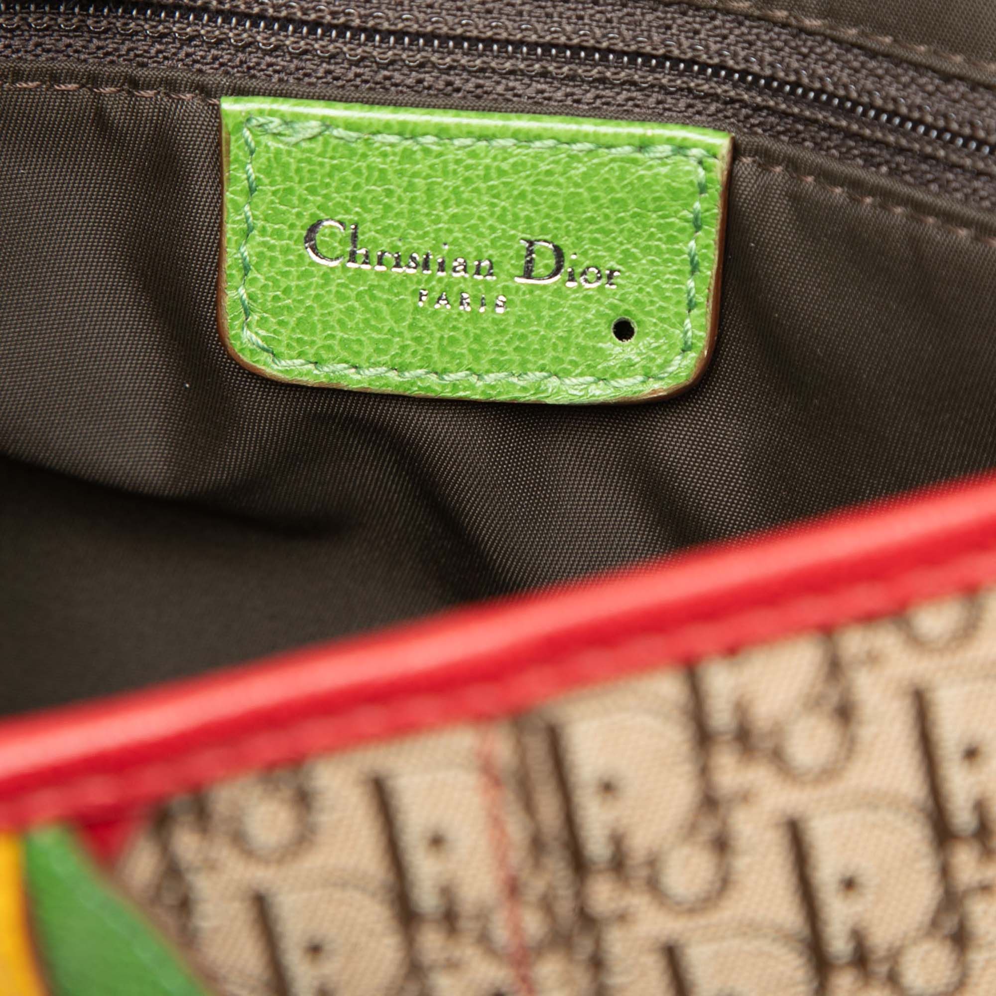 Diorissimo Canvas Rasta Saddle Bag - Image 5