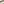         Lambskin The Pouch - Image 5