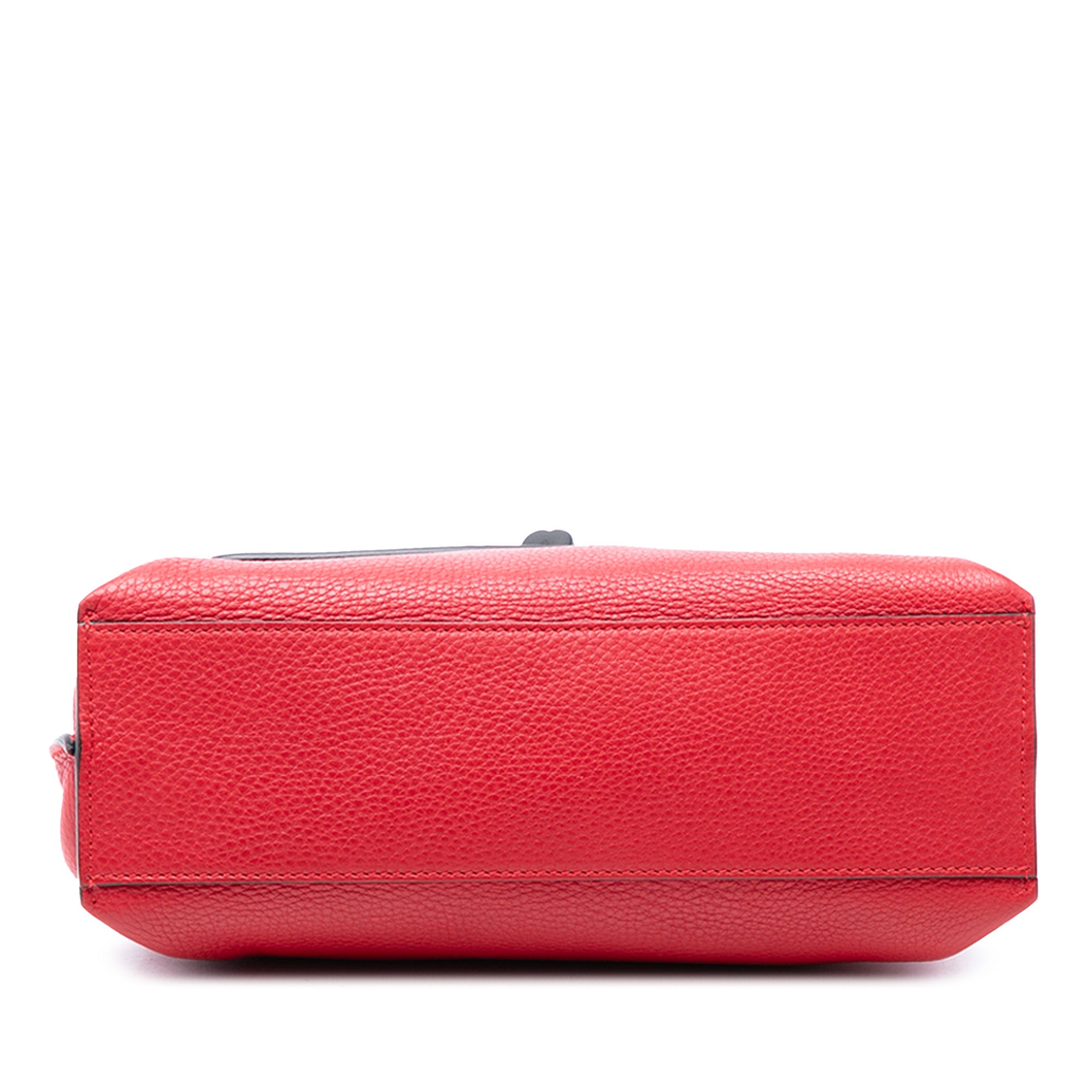 Small Calfskin Bamboo Daily Satchel - Image 3