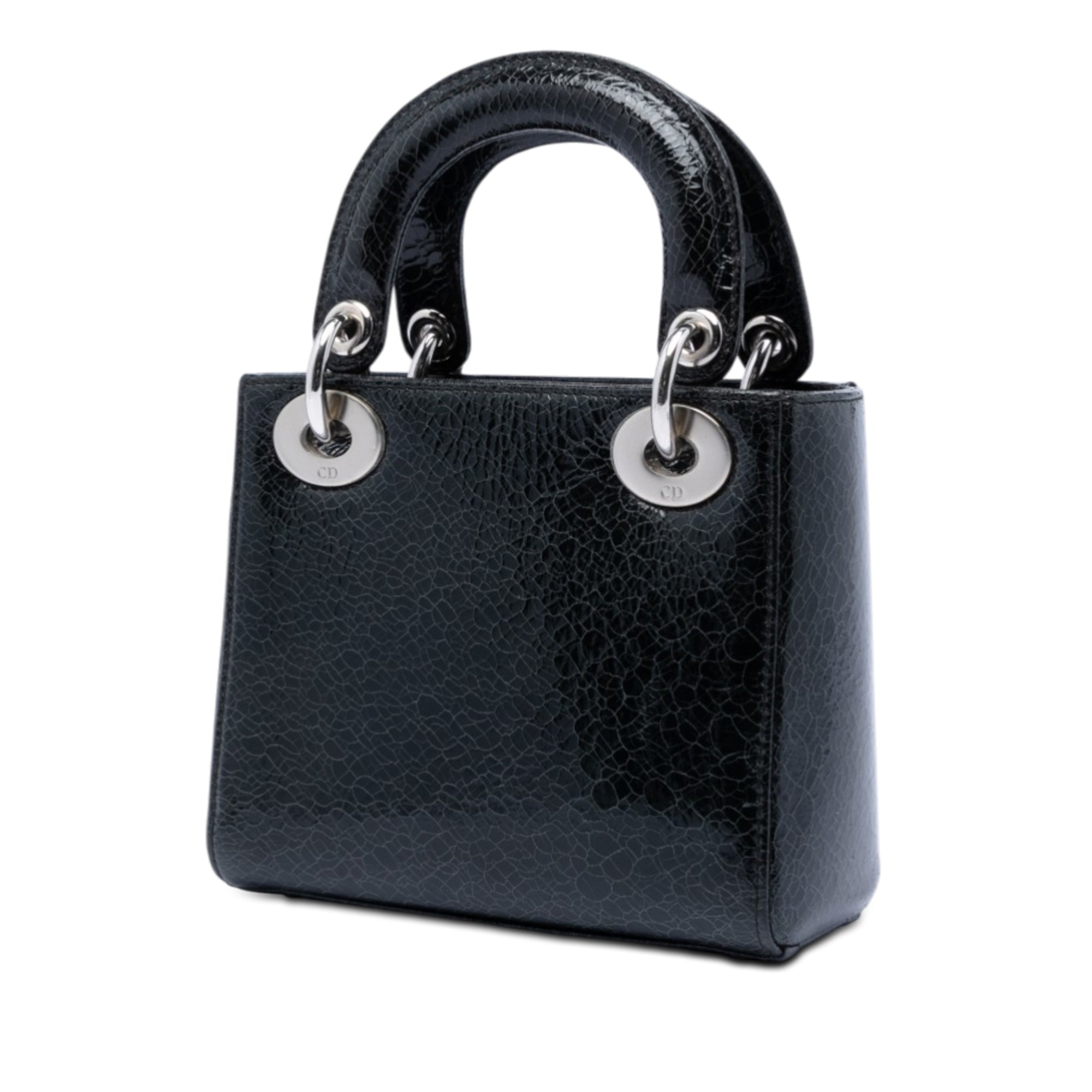 Mini Deerskin Ceramic Effect Jeweled Swan Lady Dior - Image 2