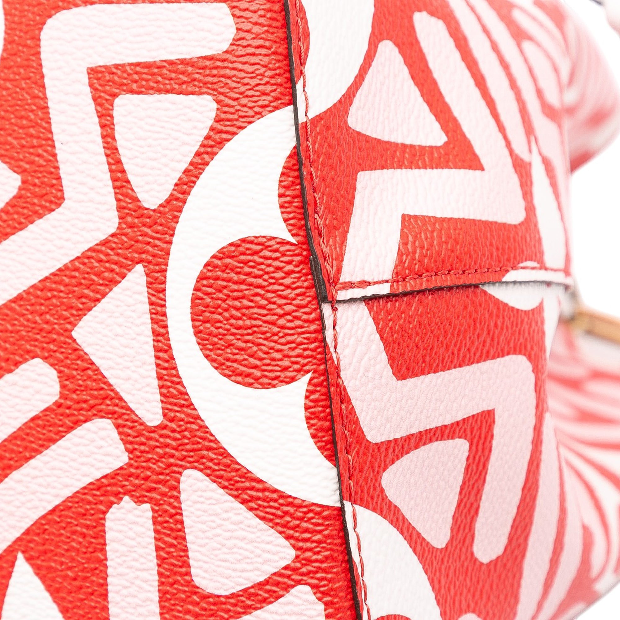 Monogram Giant Crafty Neonoe MM - Image 7