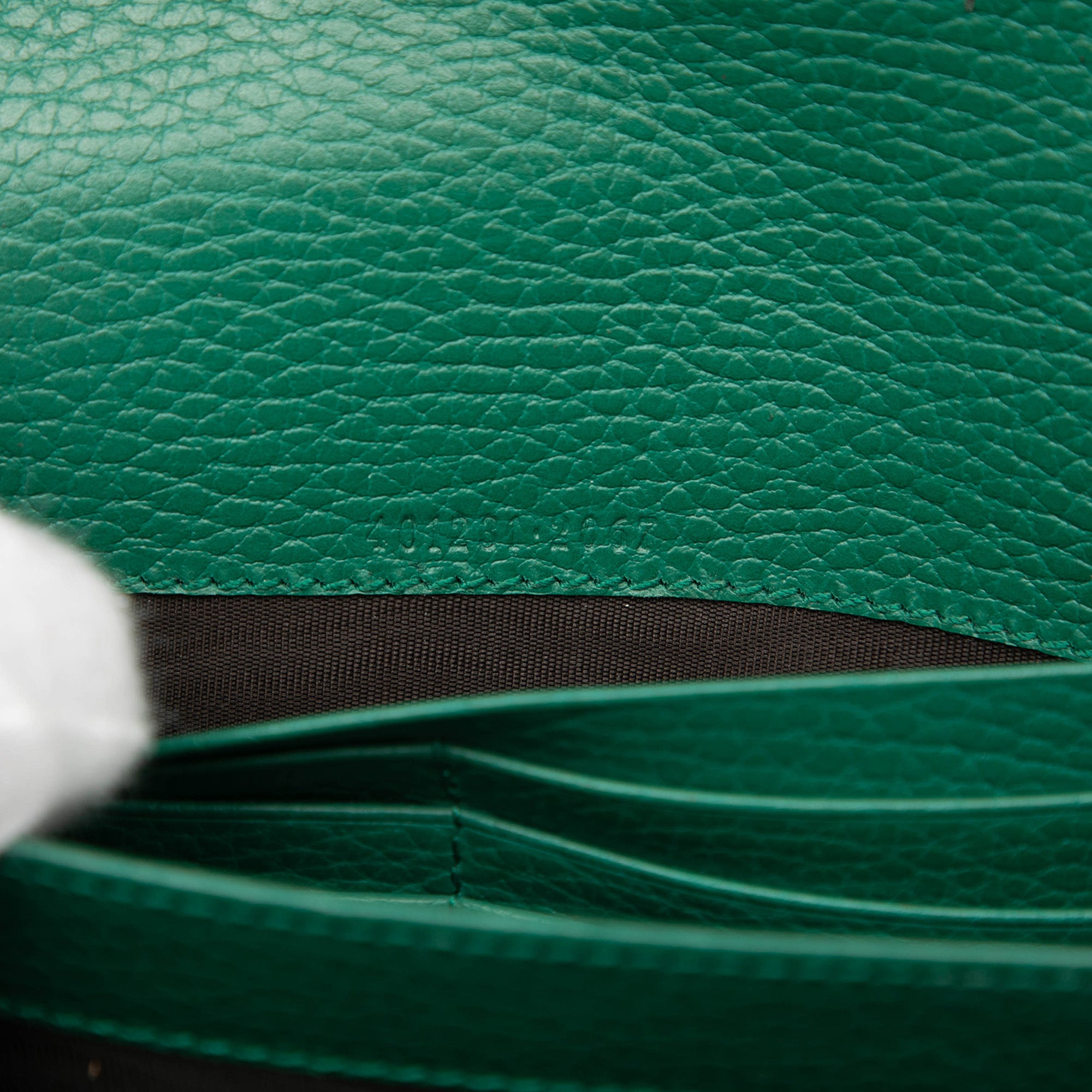 Calfskin Dionysus Wallet on Chain - Image 5
