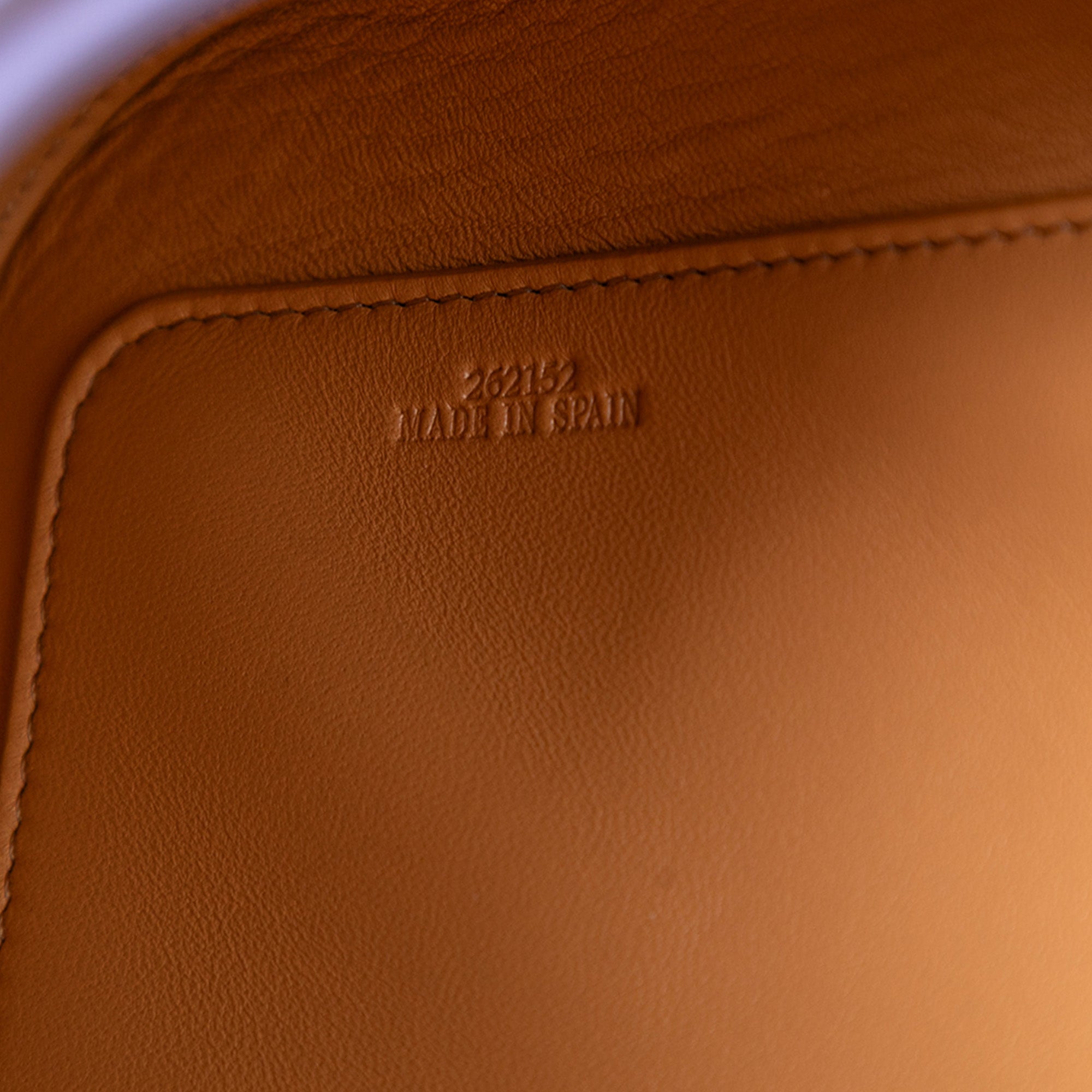 Medium Leather Goya Crossbody - Image 6