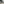         Epi Jasmine - Image 6