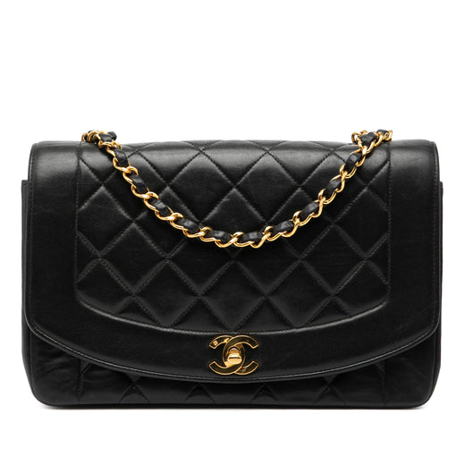Medium Lambskin Diana Flap - Image 1