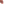        Small Lambskin Trio Crossbody - Image 11
