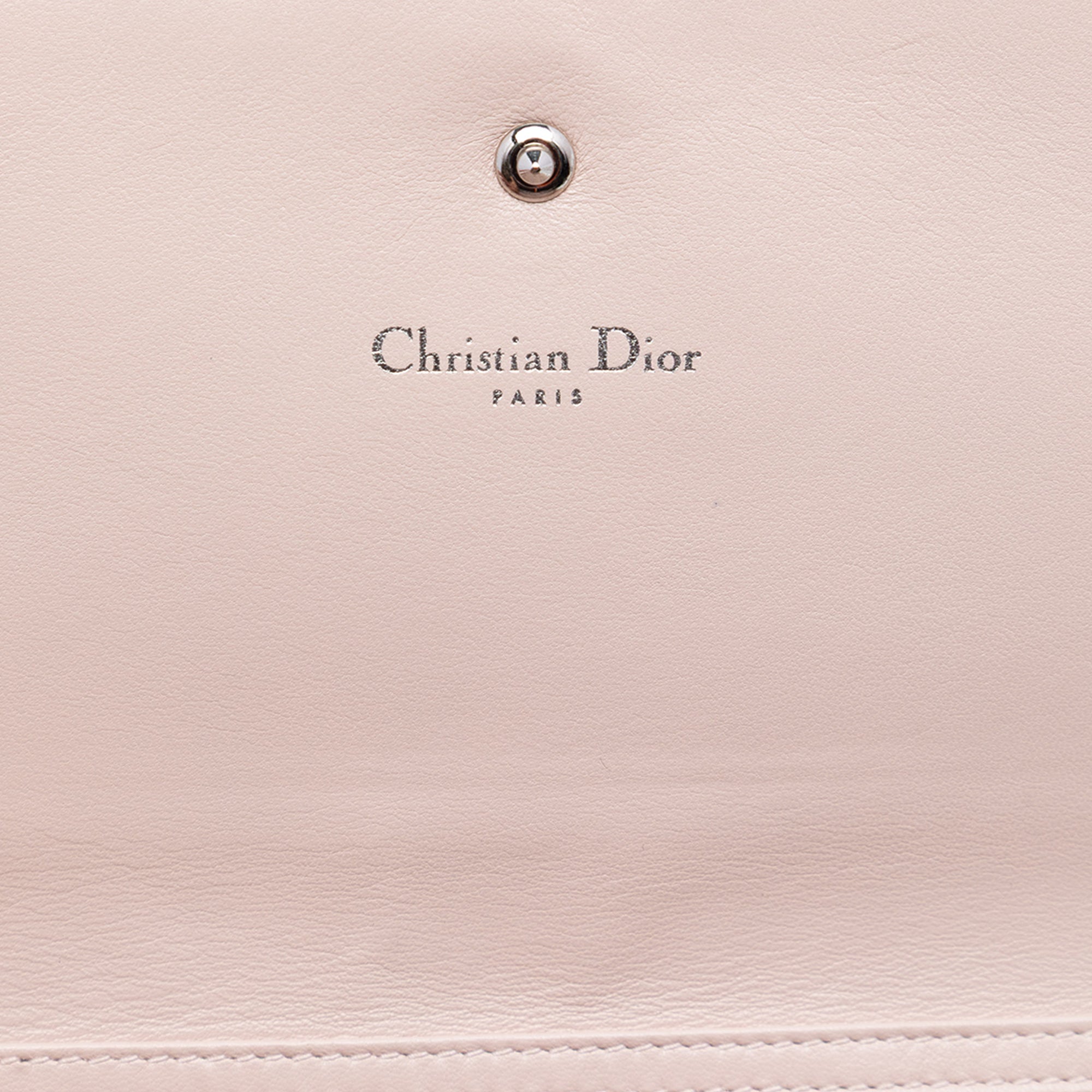 Grained Calfskin Diorama Croisiere Wallet on Chain - Image 5
