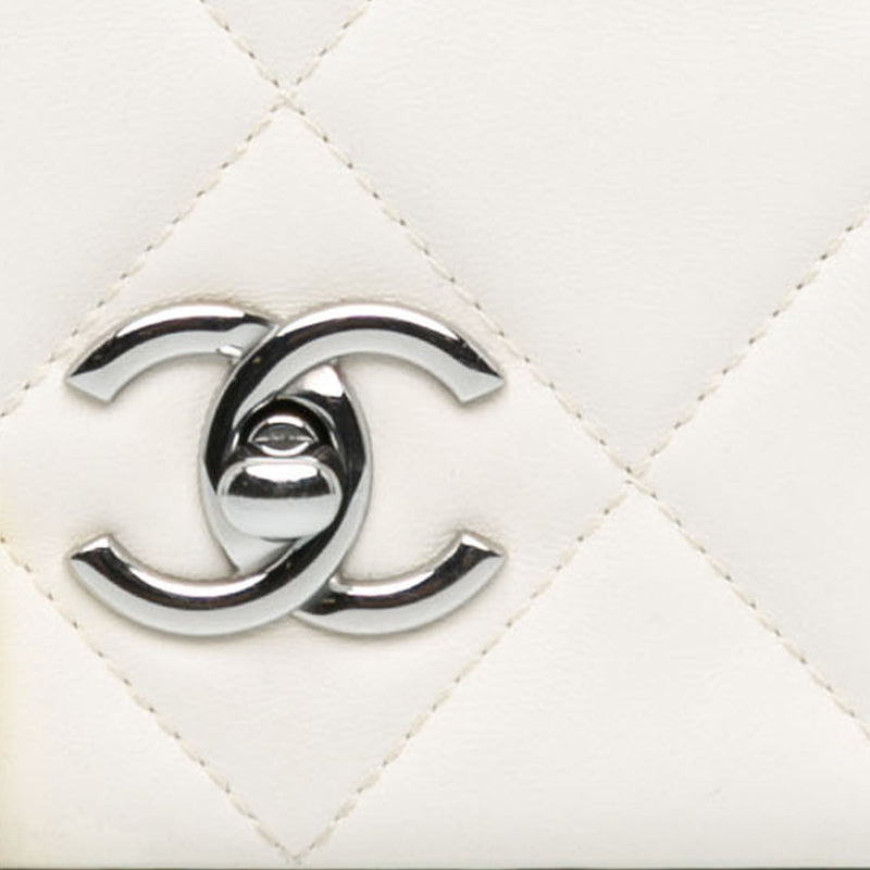 Mini Quilted Lambskin Chain Rows Flap - Image 11