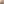         Small Grained Calfskin Big Bag - Image 8
