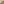         Mini Scalloped Leather and Studded Floral Kan I Crossbody - Image 6