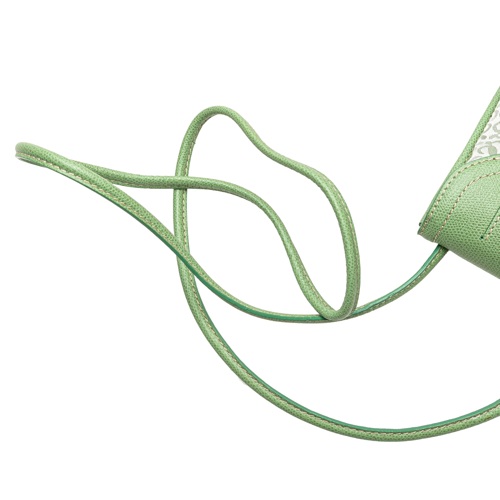 Anagram Canvas Crossbody - Image 12