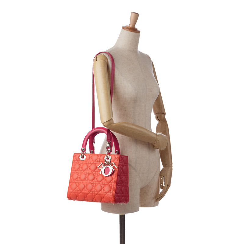 Medium Bicolor Lambskin Cannage Lady Dior - Image 13