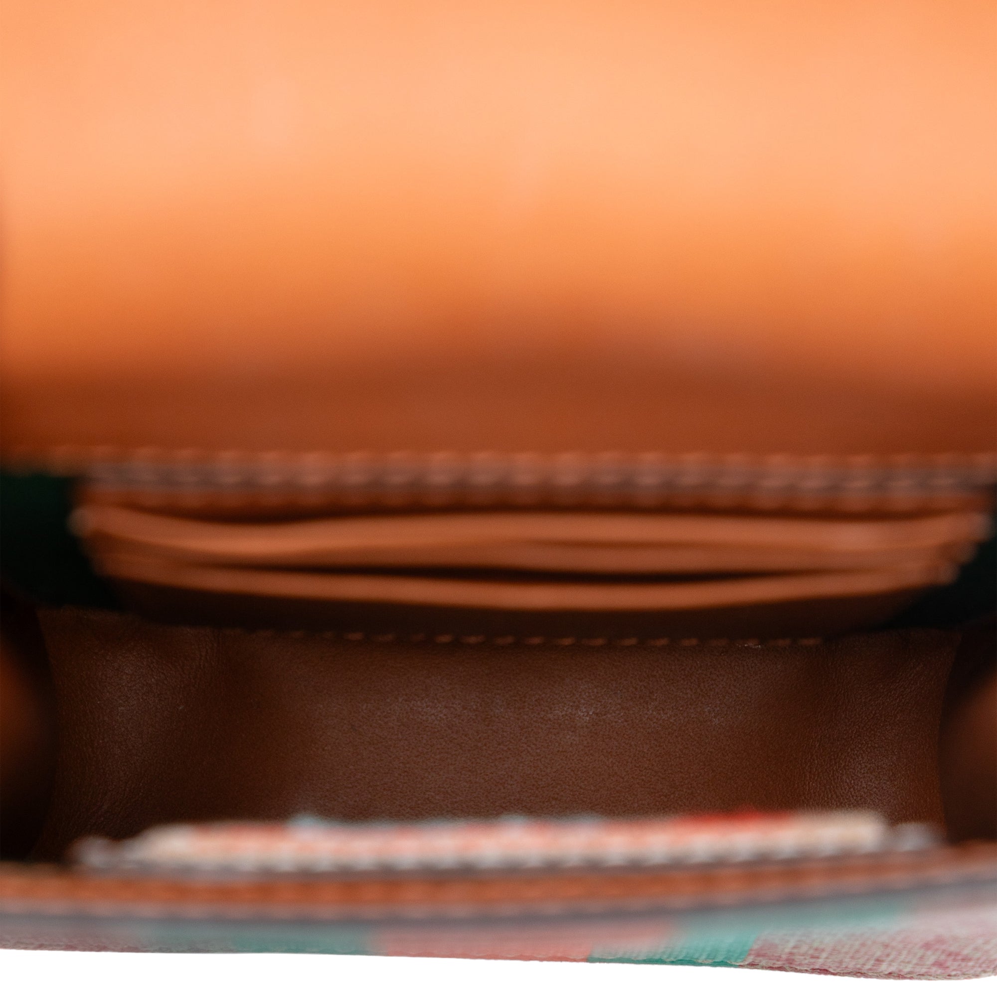 Dans Le Vert GG Supreme Web Phone Holder Crossbody - Image 4