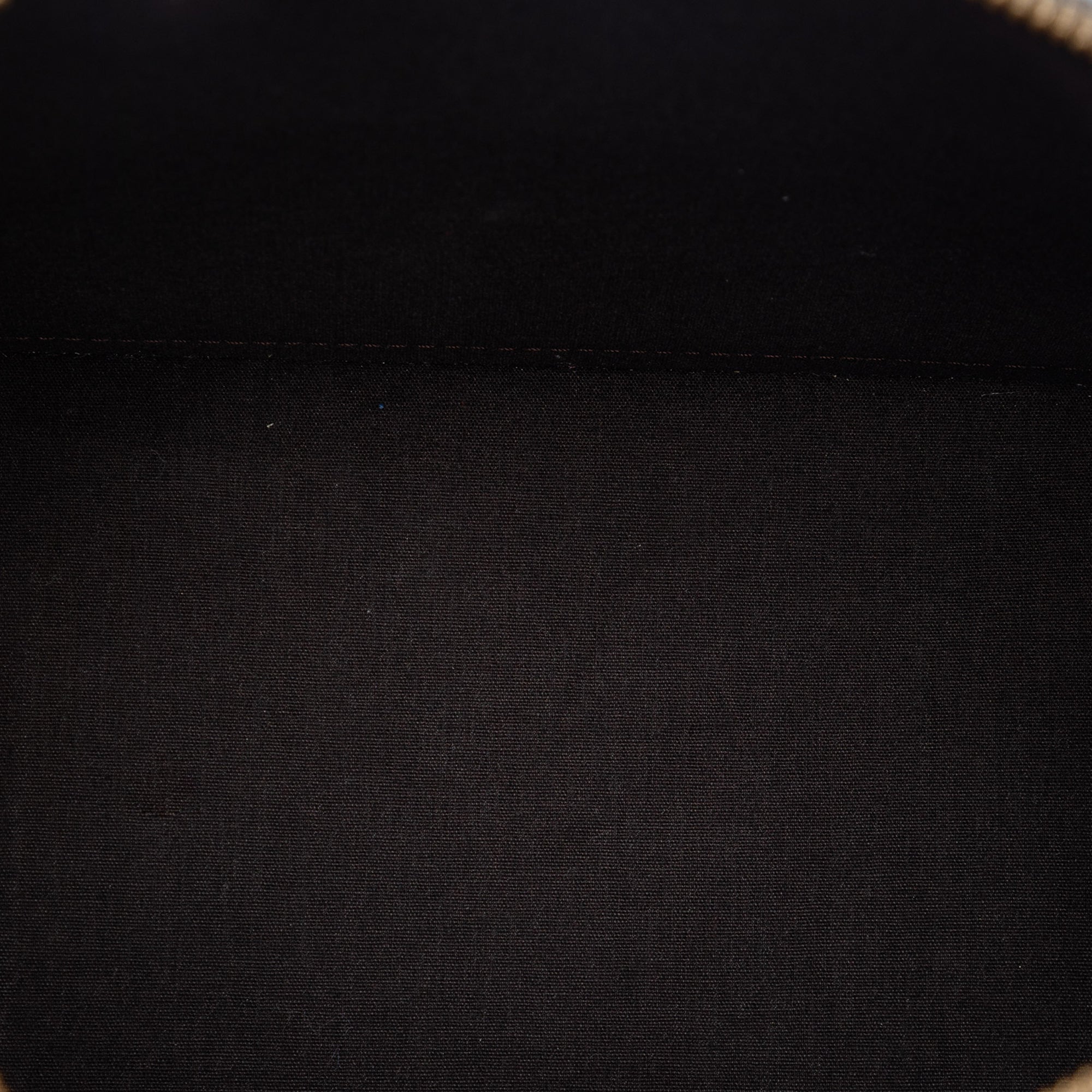 Monogram Vernis Alma PM - Image 4