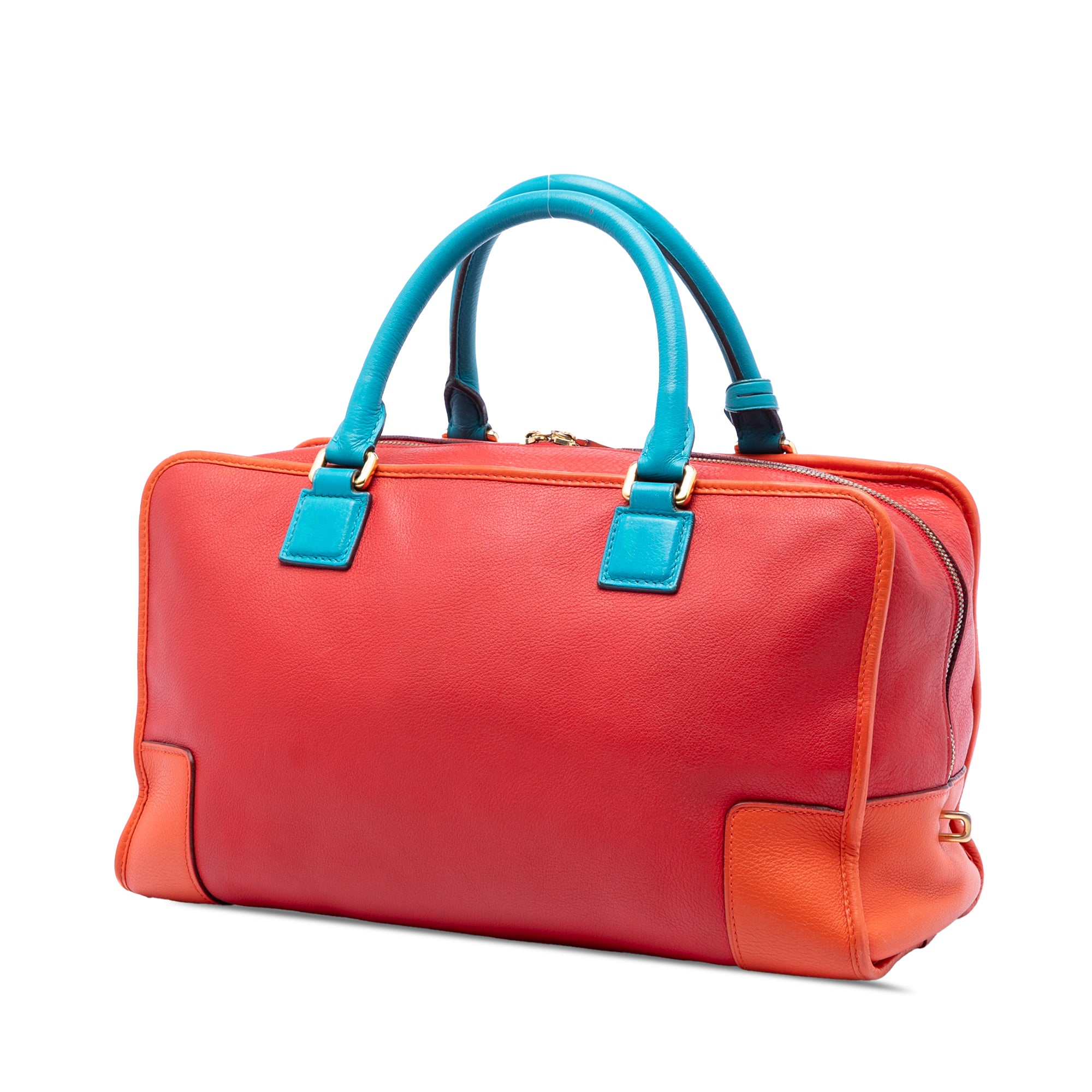 Tricolor Leather Amazona 36 - Image 2