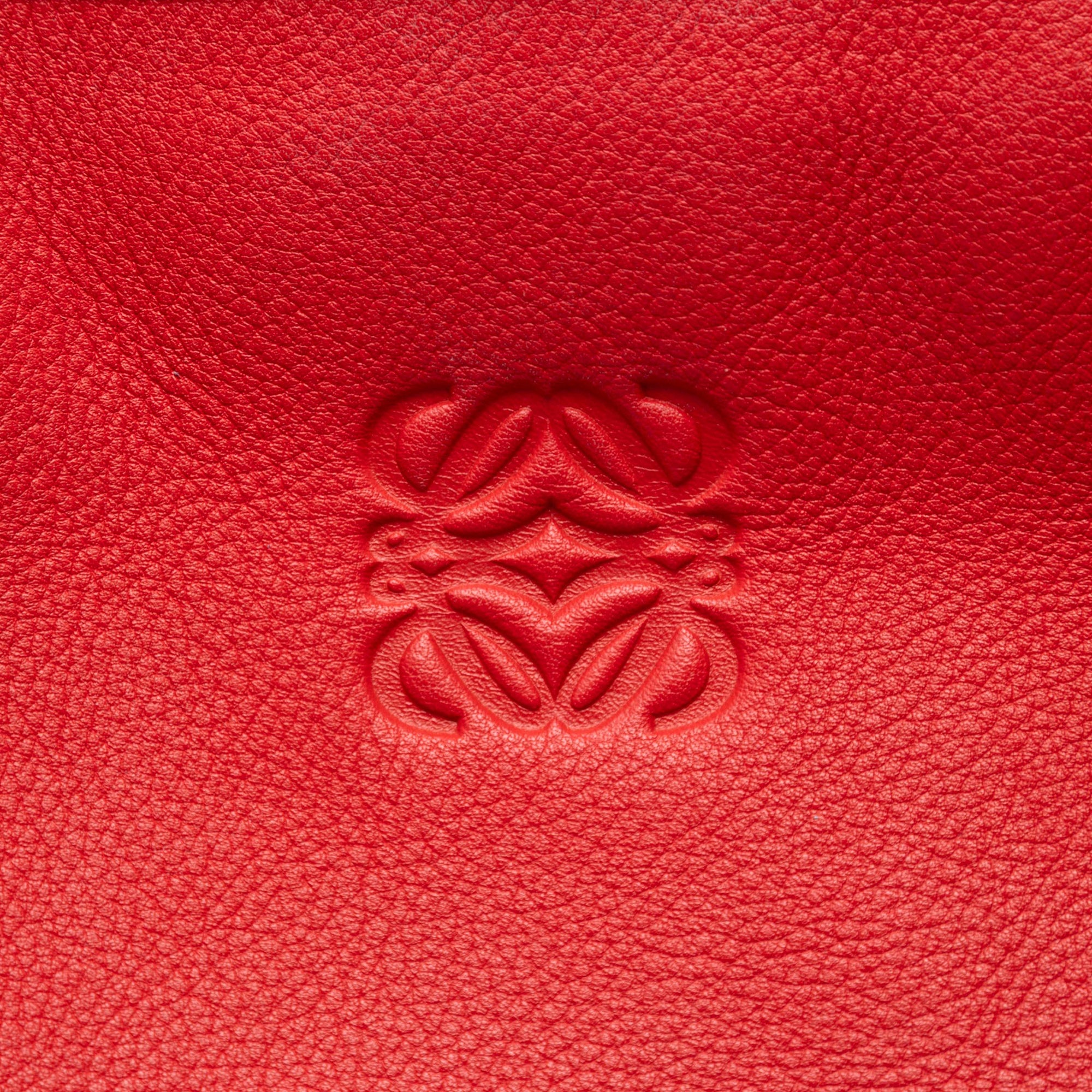 Tricolor Leather Amazona 36 - Image 6