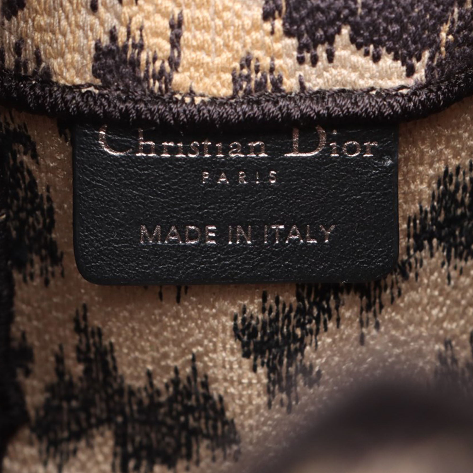 Mizza Small Embroidered Canvas Leopard DiorCamp Messenger Bag - Image 4
