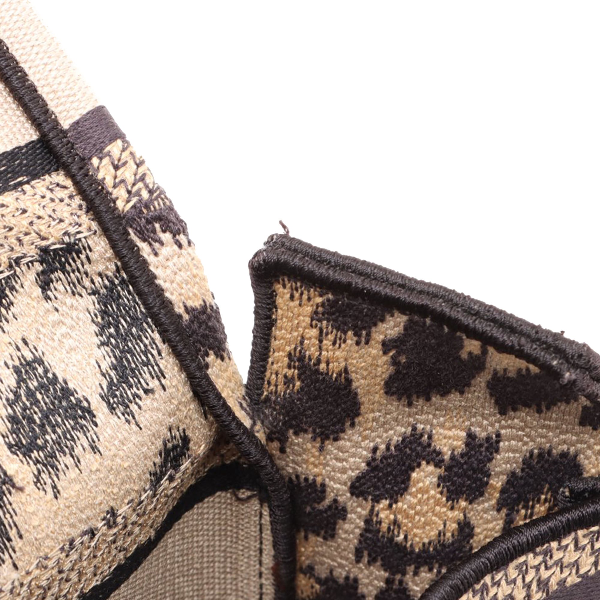 Mizza Small Embroidered Canvas Leopard DiorCamp Messenger Bag - Image 6