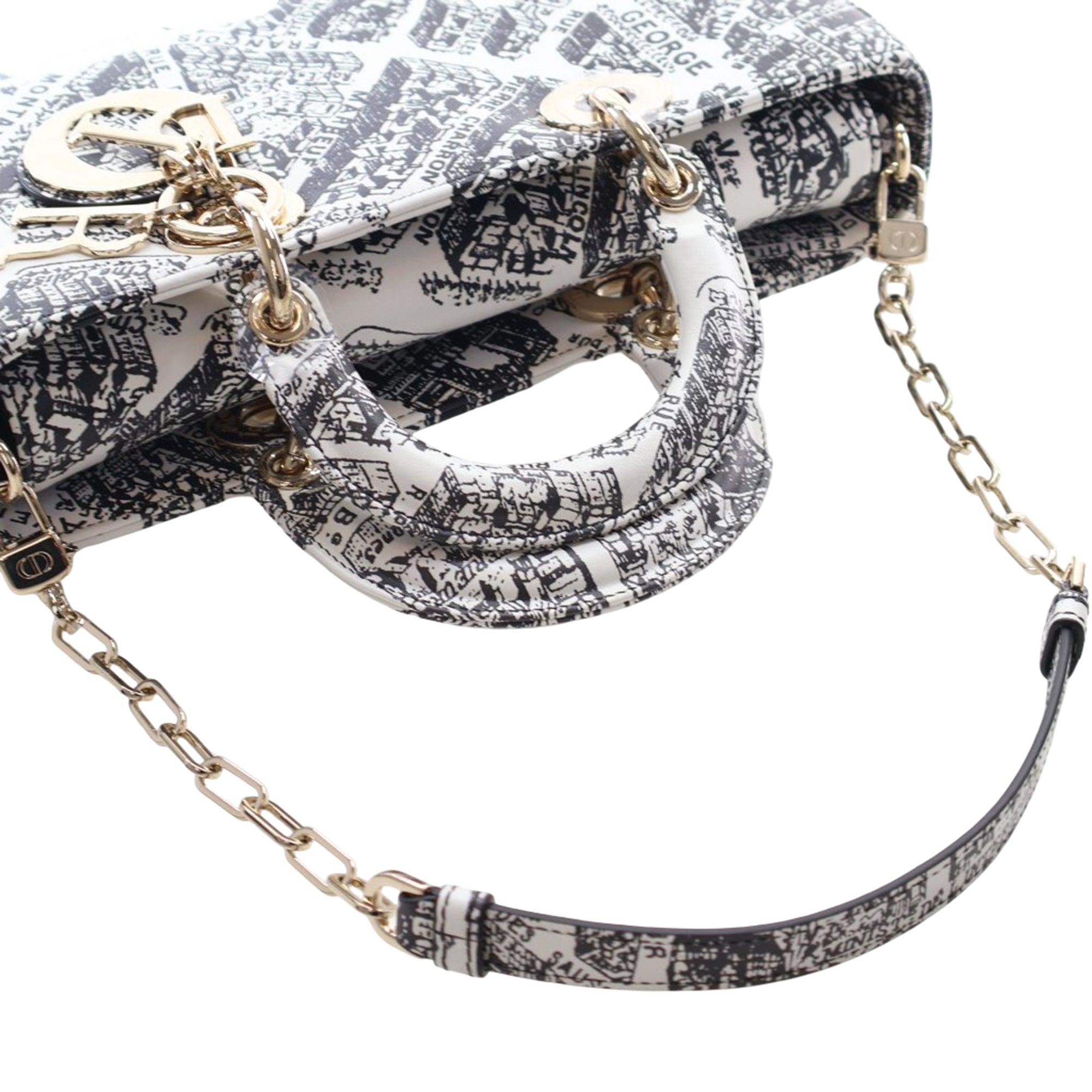 Medium Calfskin Plan De Paris Printed Lady D Joy - Image 12