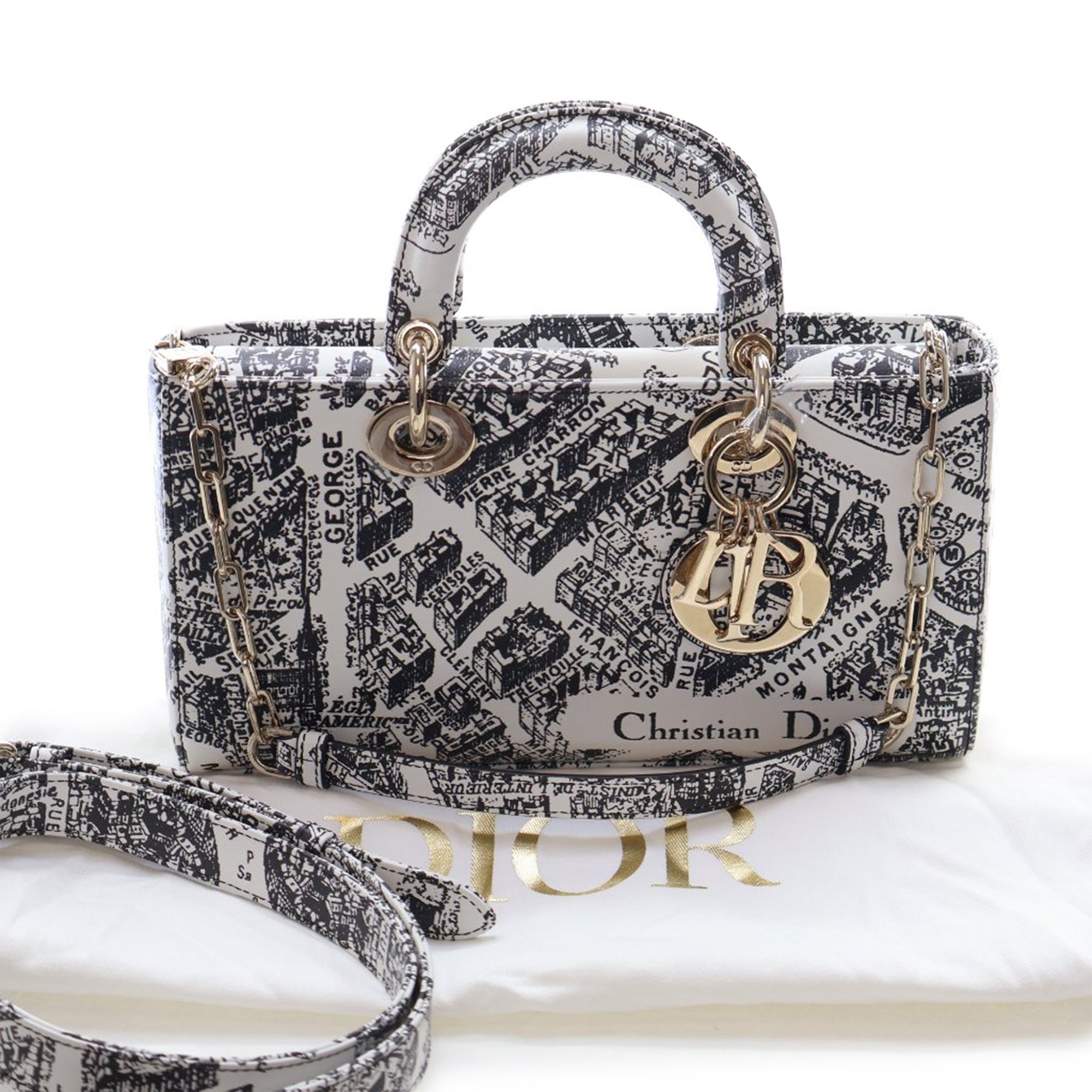 Medium Calfskin Plan De Paris Printed Lady D Joy - Image 14