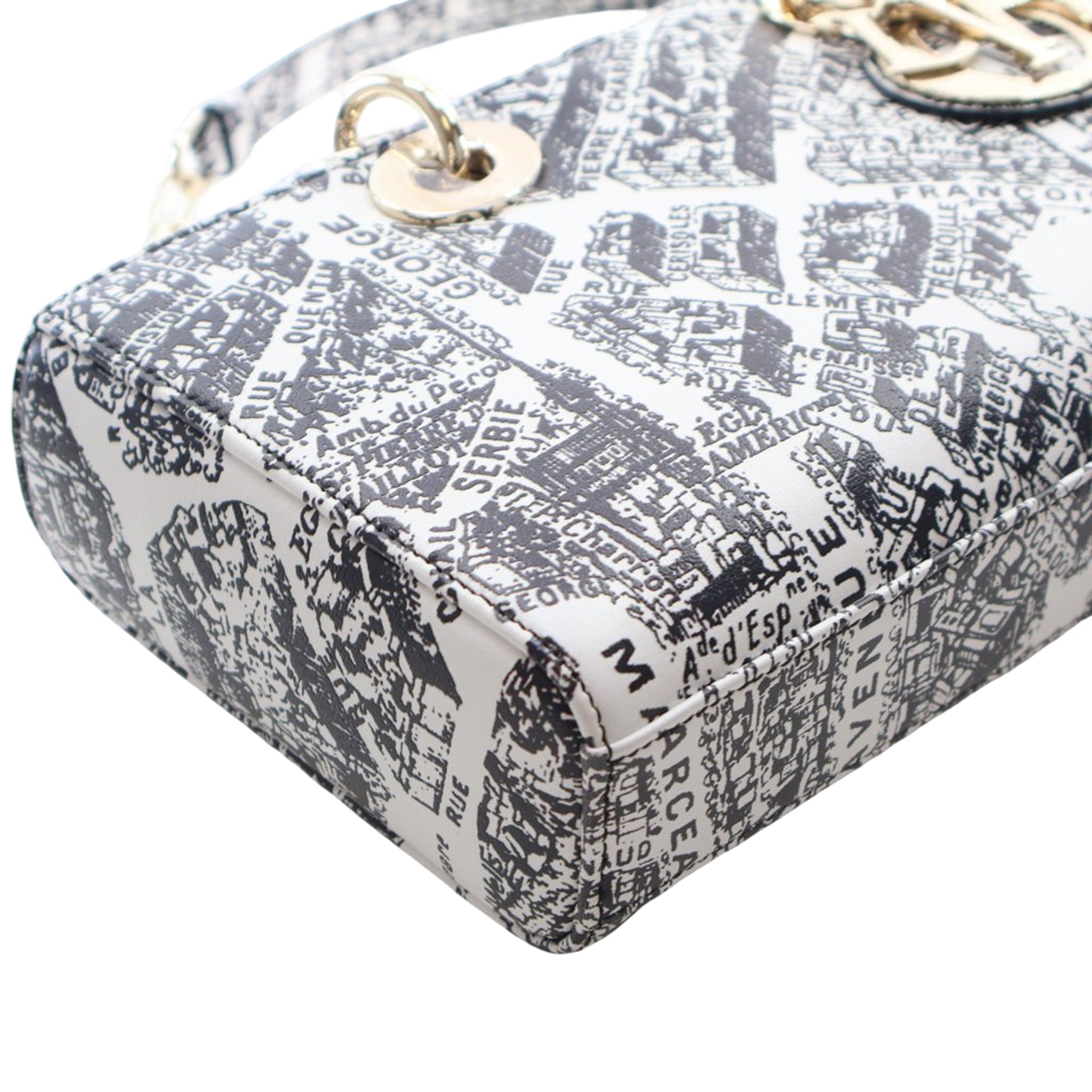 Medium Calfskin Plan De Paris Printed Lady D Joy - Image 9