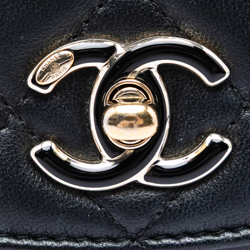 Mini Quilted Lambskin Cocovado Ribbon Chain Flap - Image 5